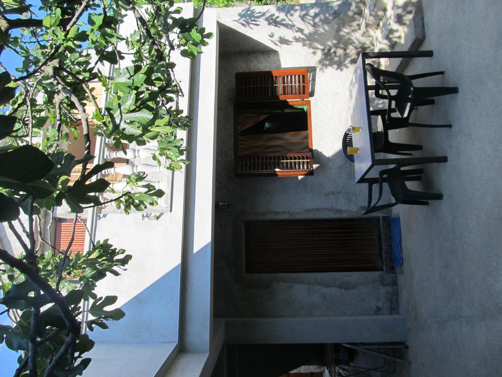 Hotel Petrcane Bagian luar foto
