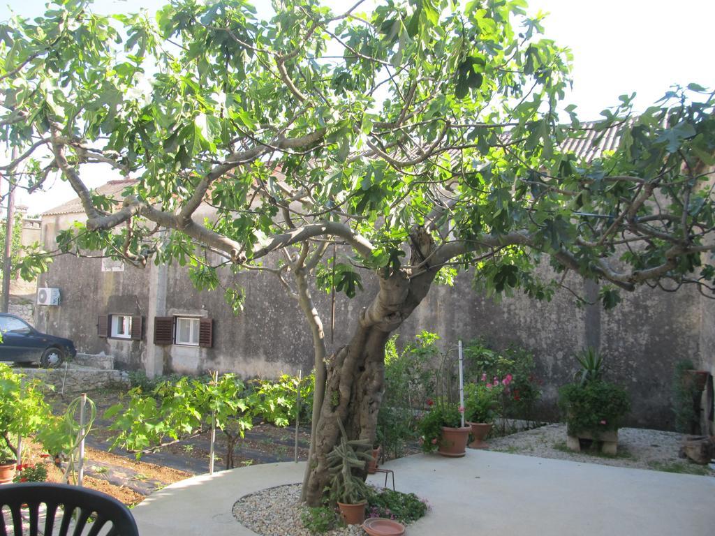 Hotel Petrcane Bagian luar foto